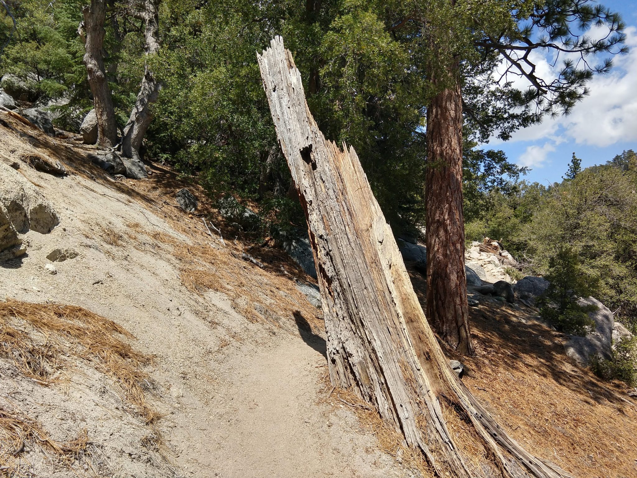 Idyllwild - Suicide Rock Trail