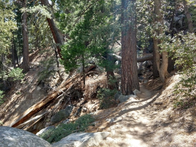 Idyllwild - Suicide Rock Trail