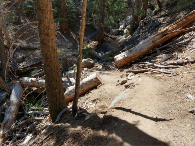 Idyllwild - Suicide Rock Trail