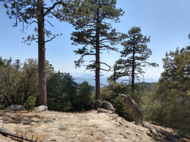 Idyllwild - Suicide Rock Trail