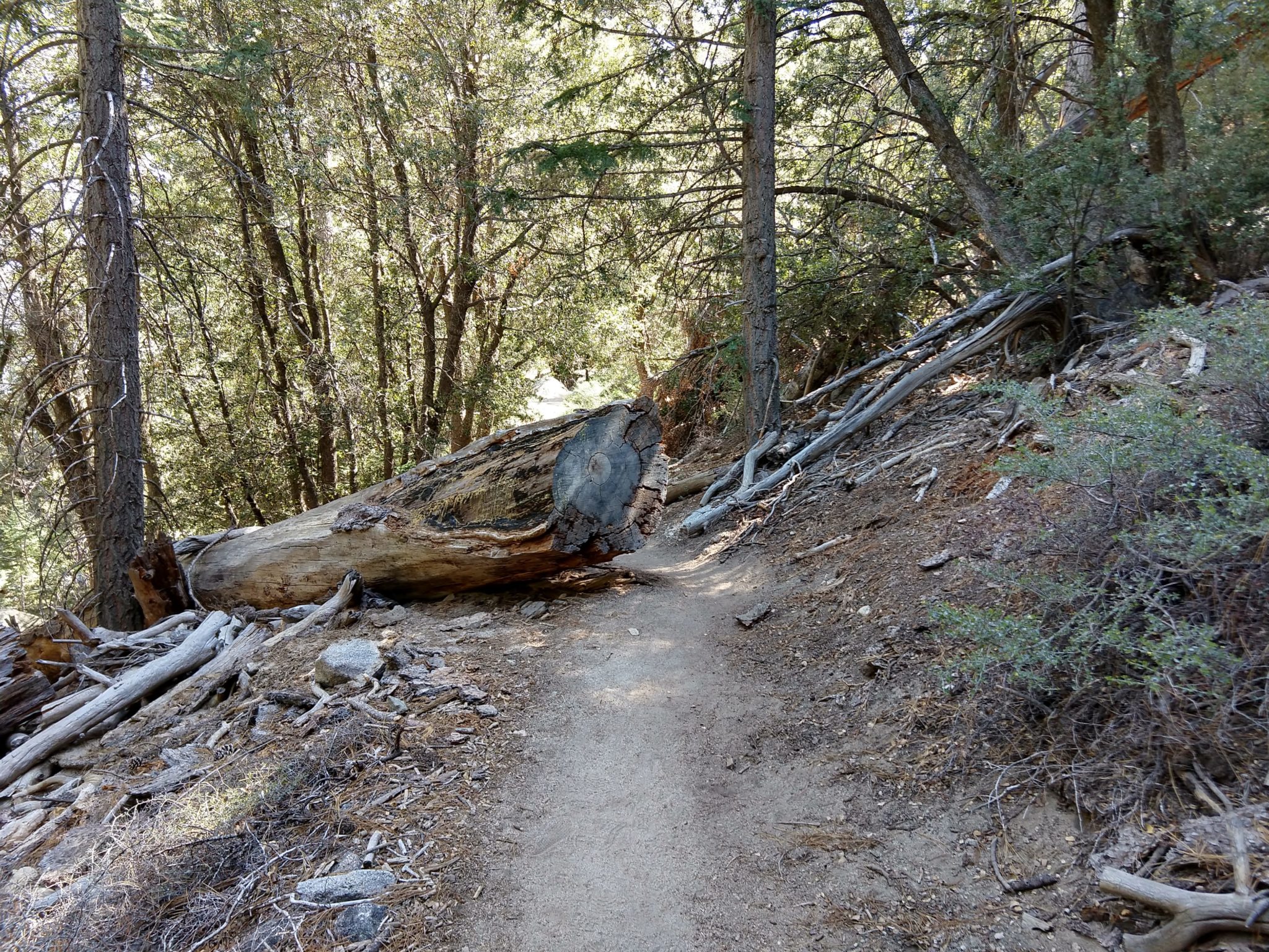 Idyllwild - Suicide Rock Trail