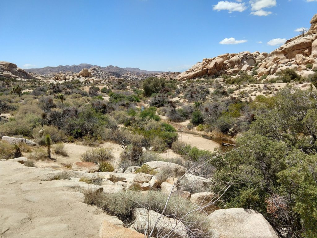 Joshua Tree Barker Dam