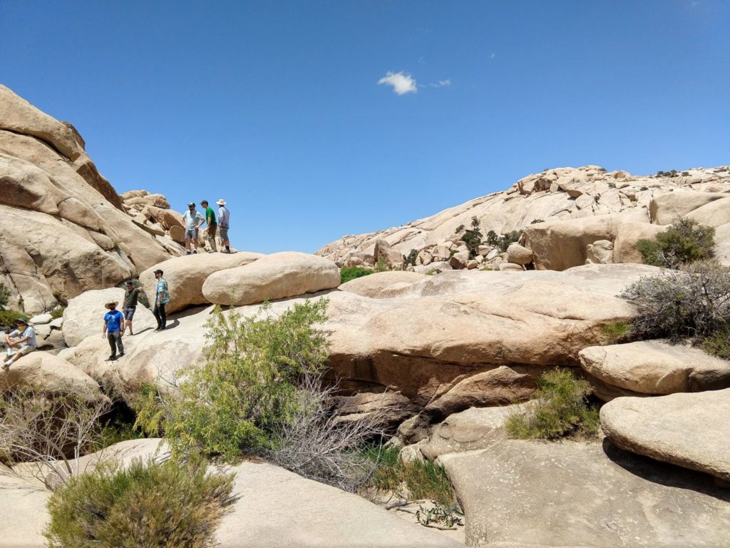 Joshua Tree Barker Dam