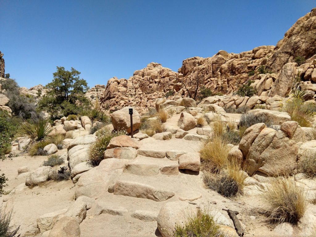 Joshua Tree Hidden Valley