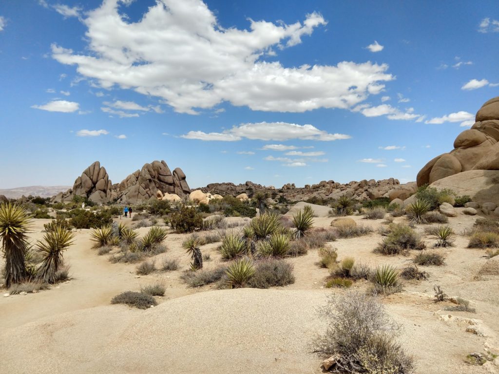 Joshua Tree Skull Rock