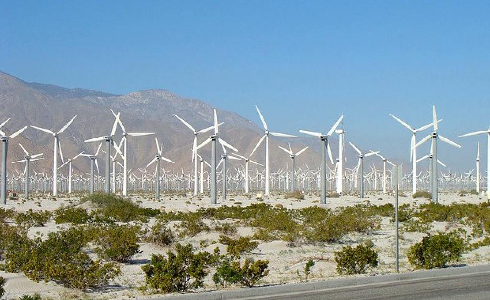 Massive wind farm