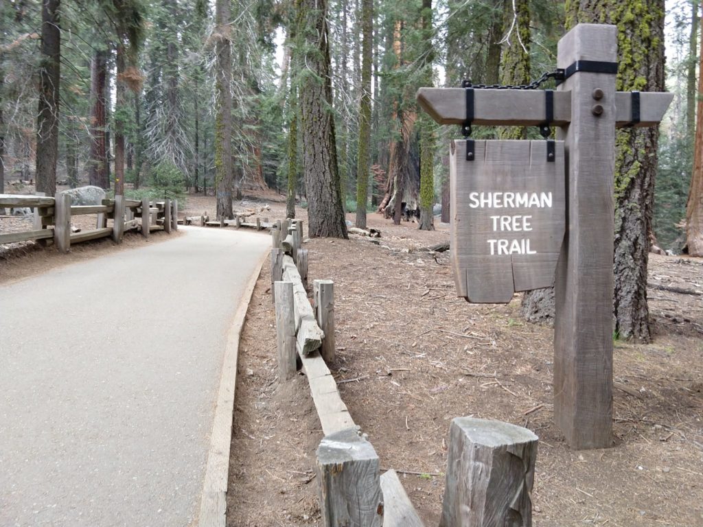 Sequoia National Park - Sherman Tree Trail