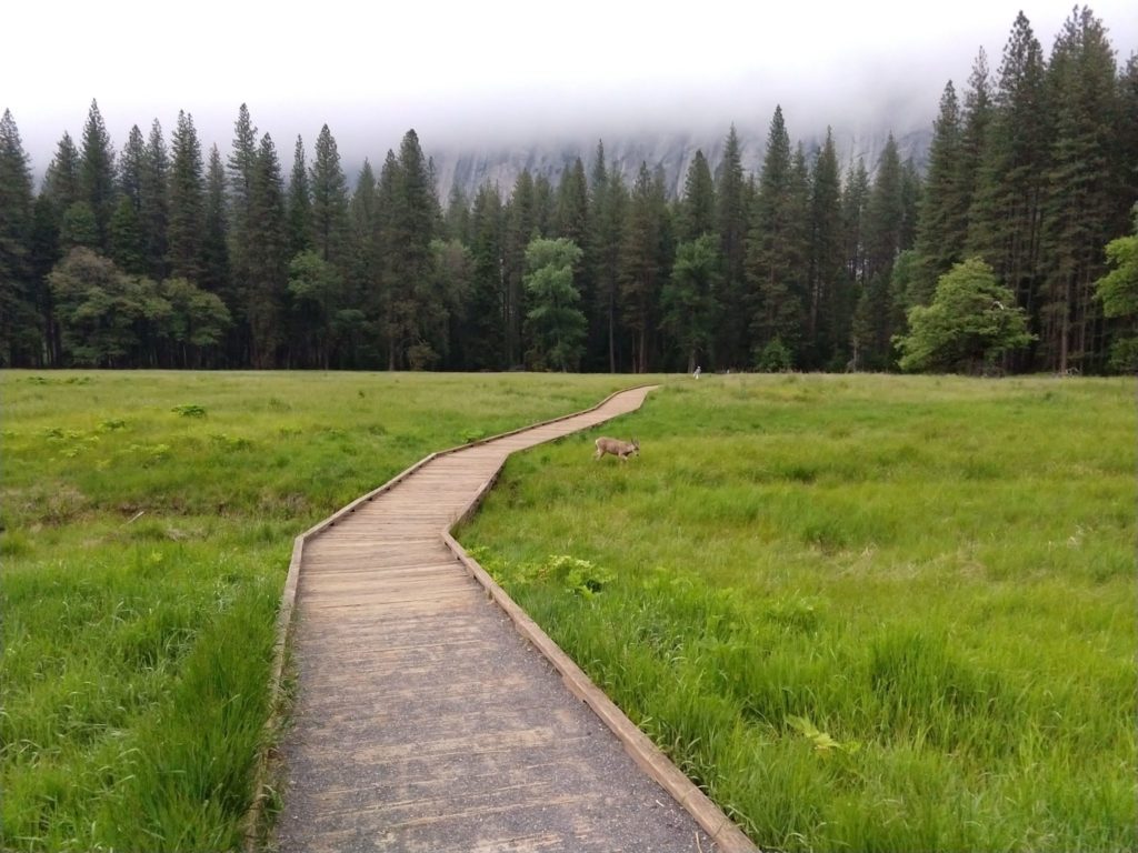 Yosemite Half Dome Hike