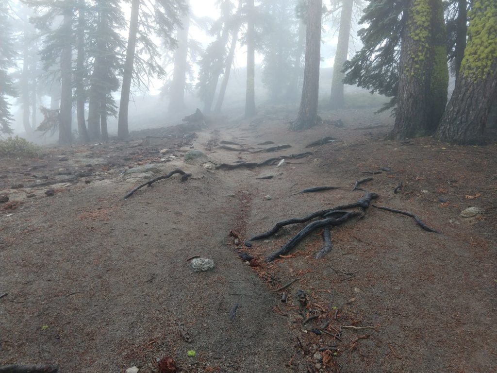 Yosemite Half Dome Hike