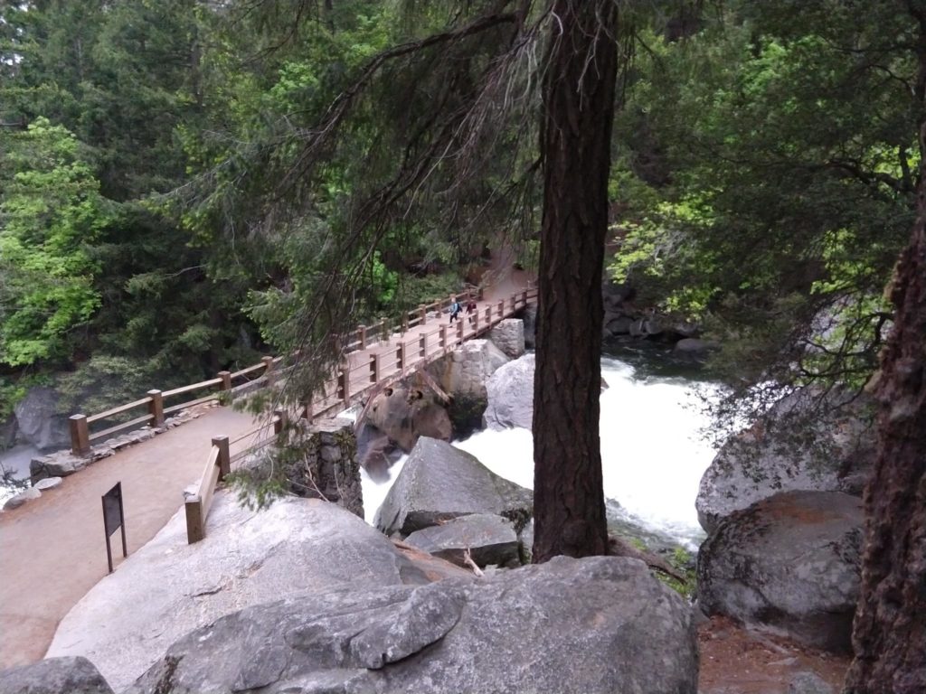 Yosemite Half Dome Hike