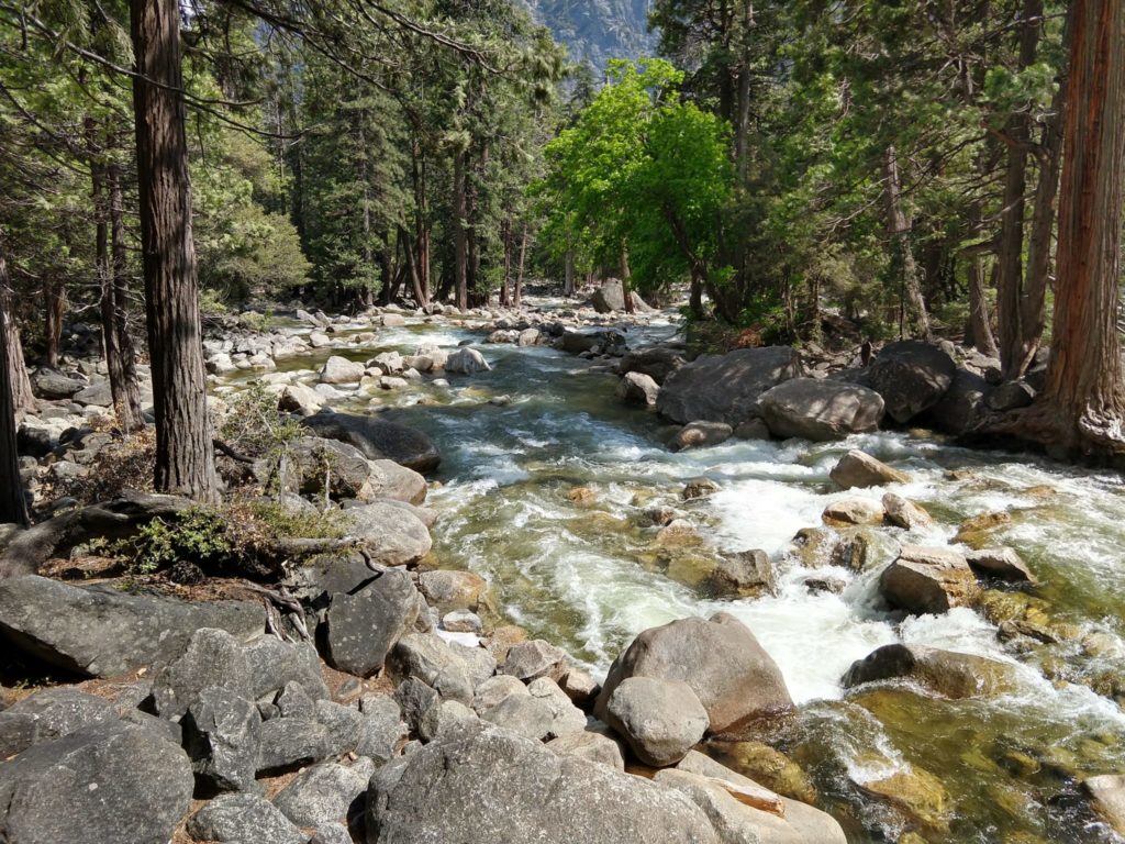 Lower Yosemite Falls