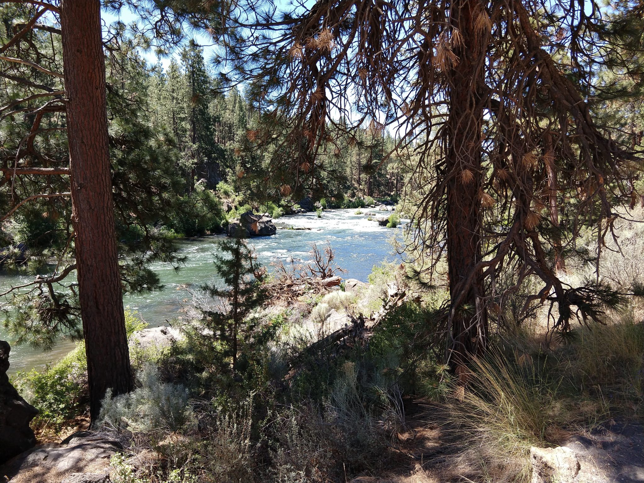 Oregan Trail - Deschutes River South Canyon Trail