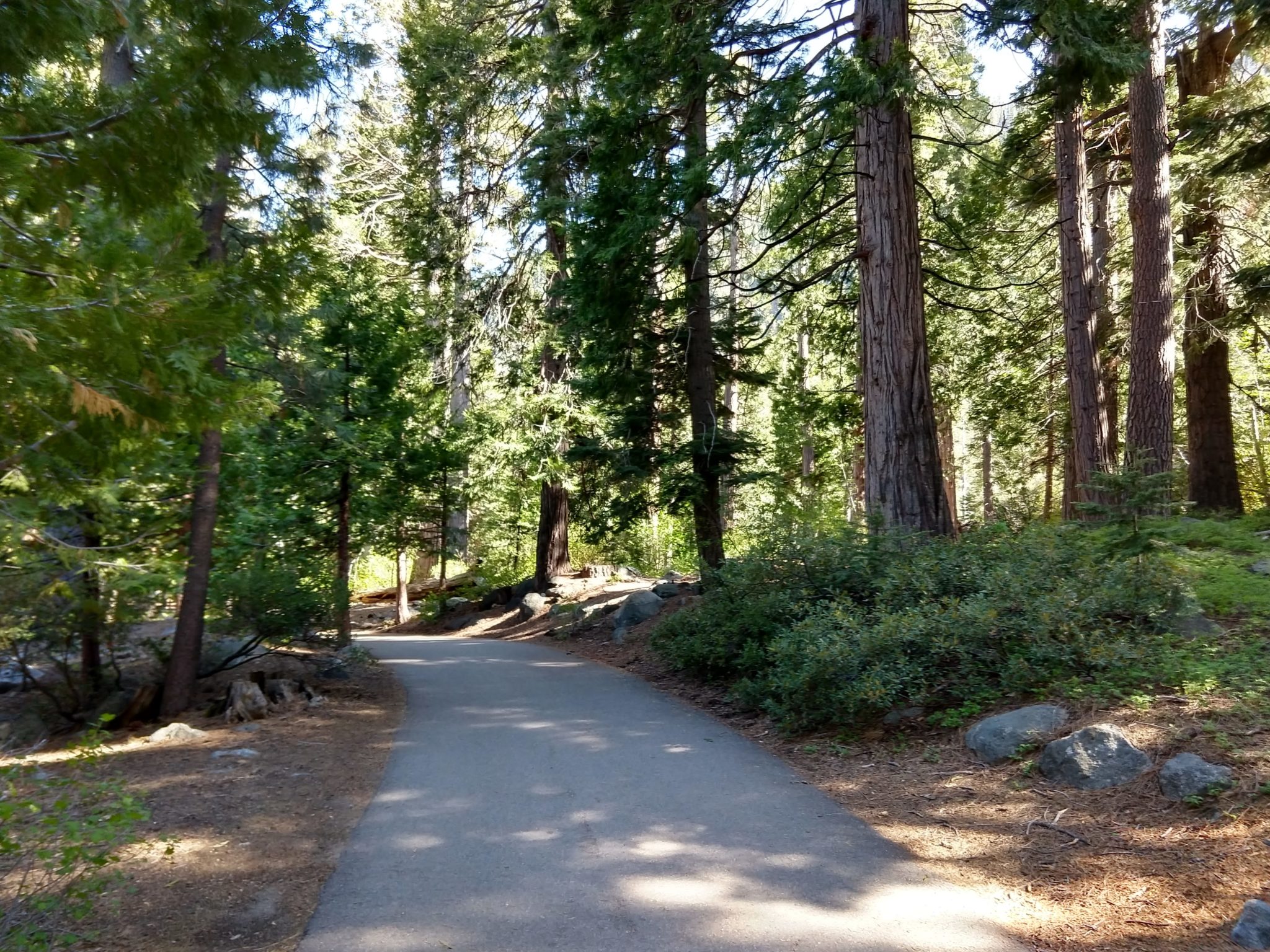 Emerald Bay Hikes - Vikingsholm hike