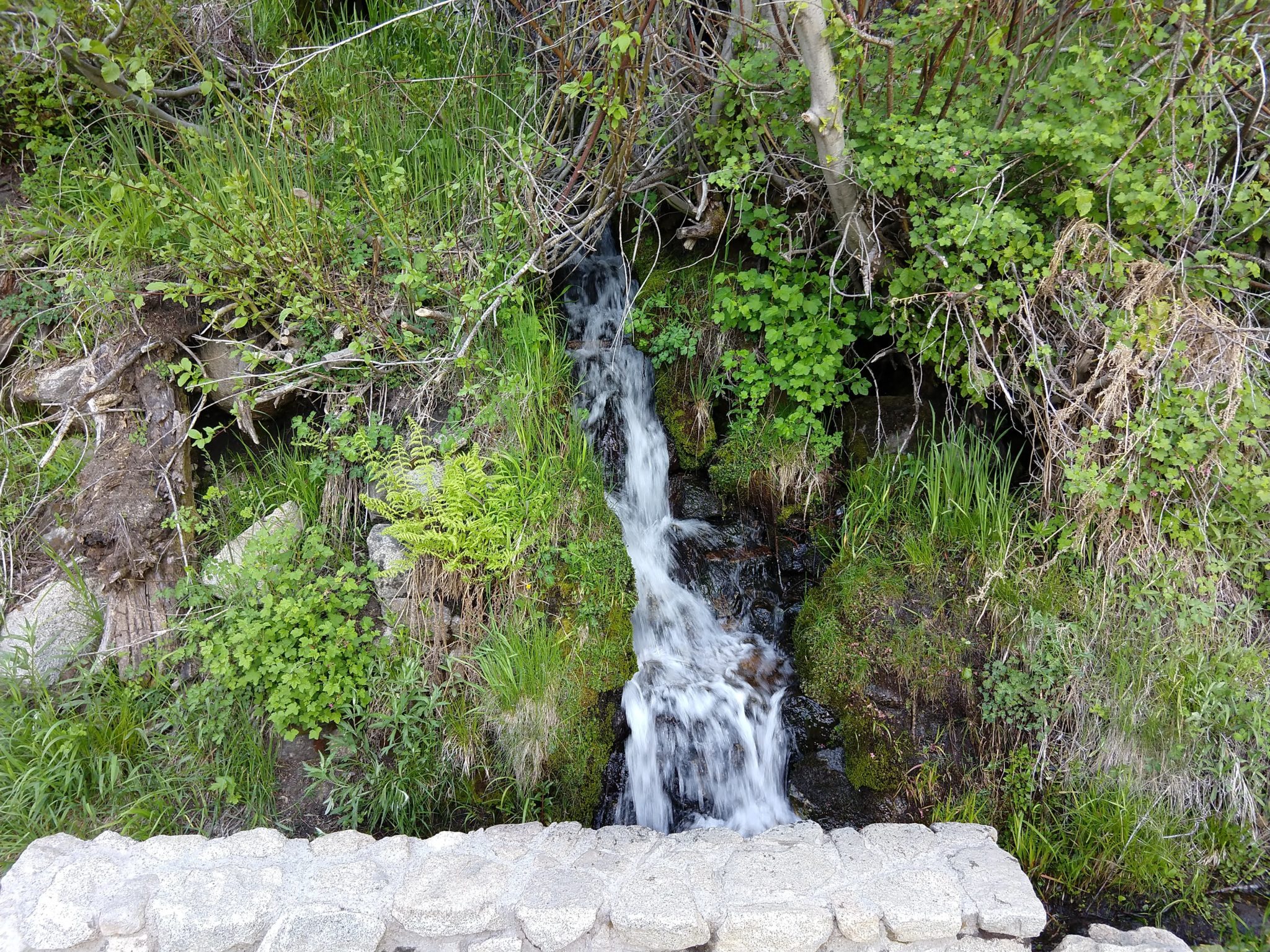 Emerald Bay Hikes - Vikingsholm hike