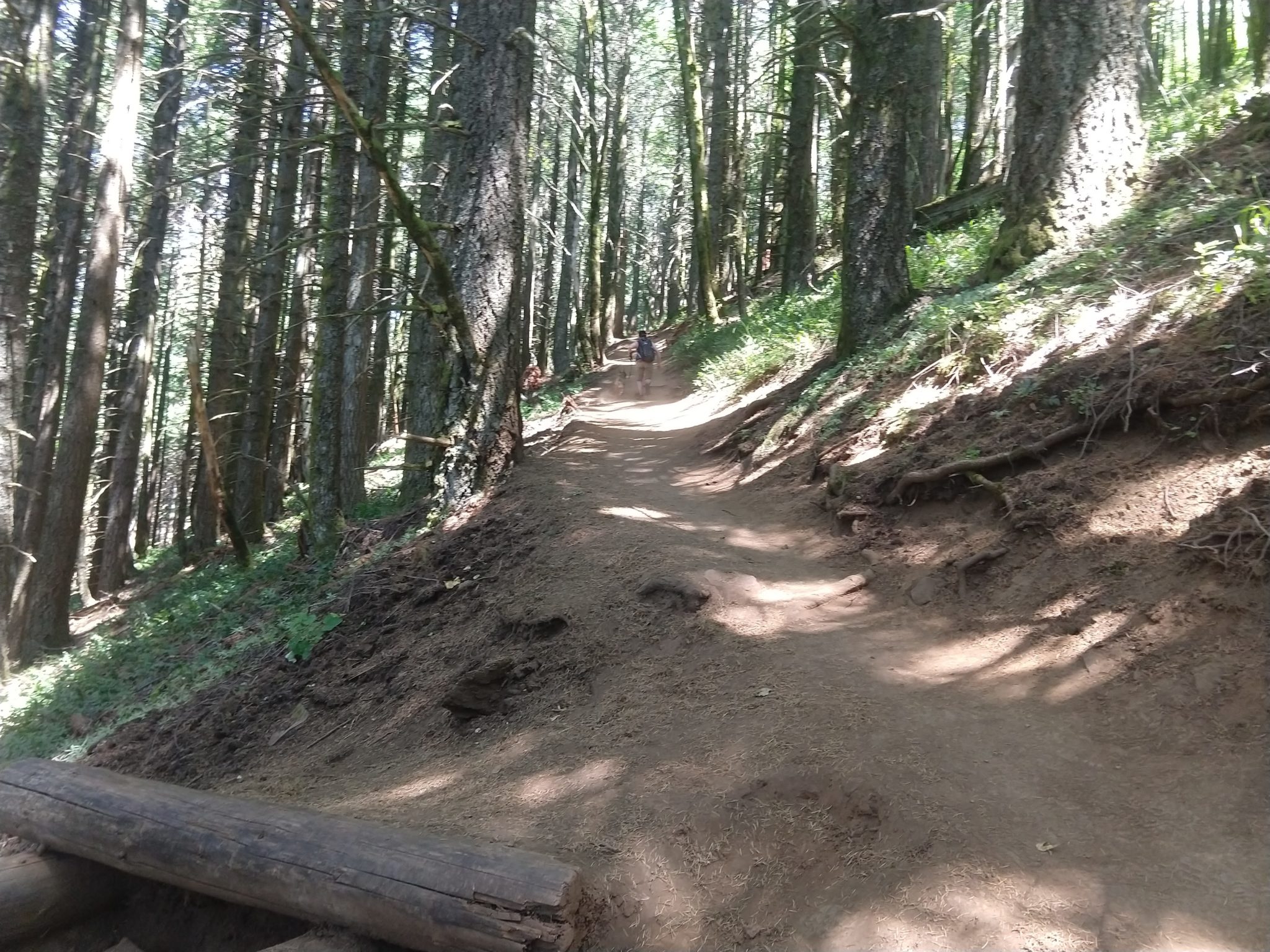 Columbia River Gorge - Dog Mountain