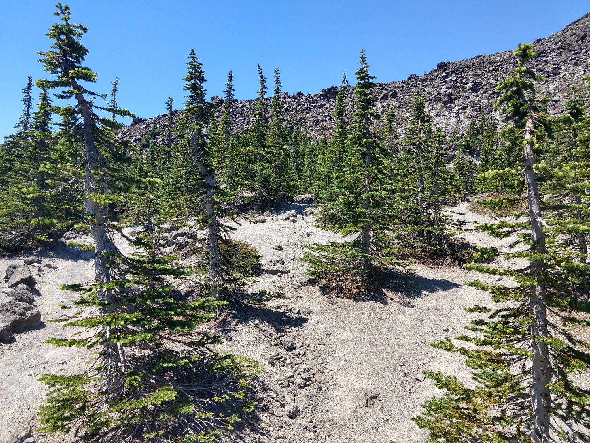 Hiking Mount St. Helens