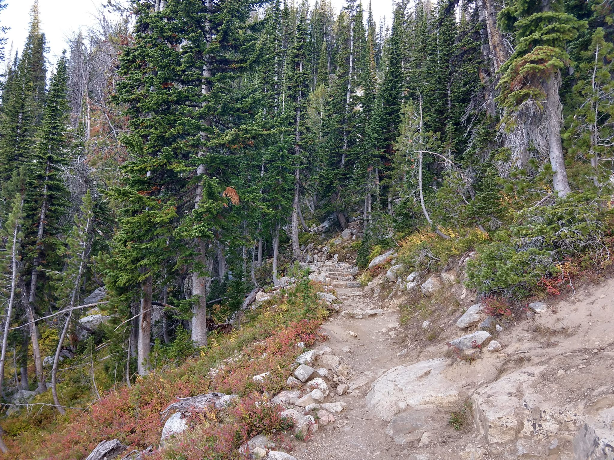 Grand Teton National Park