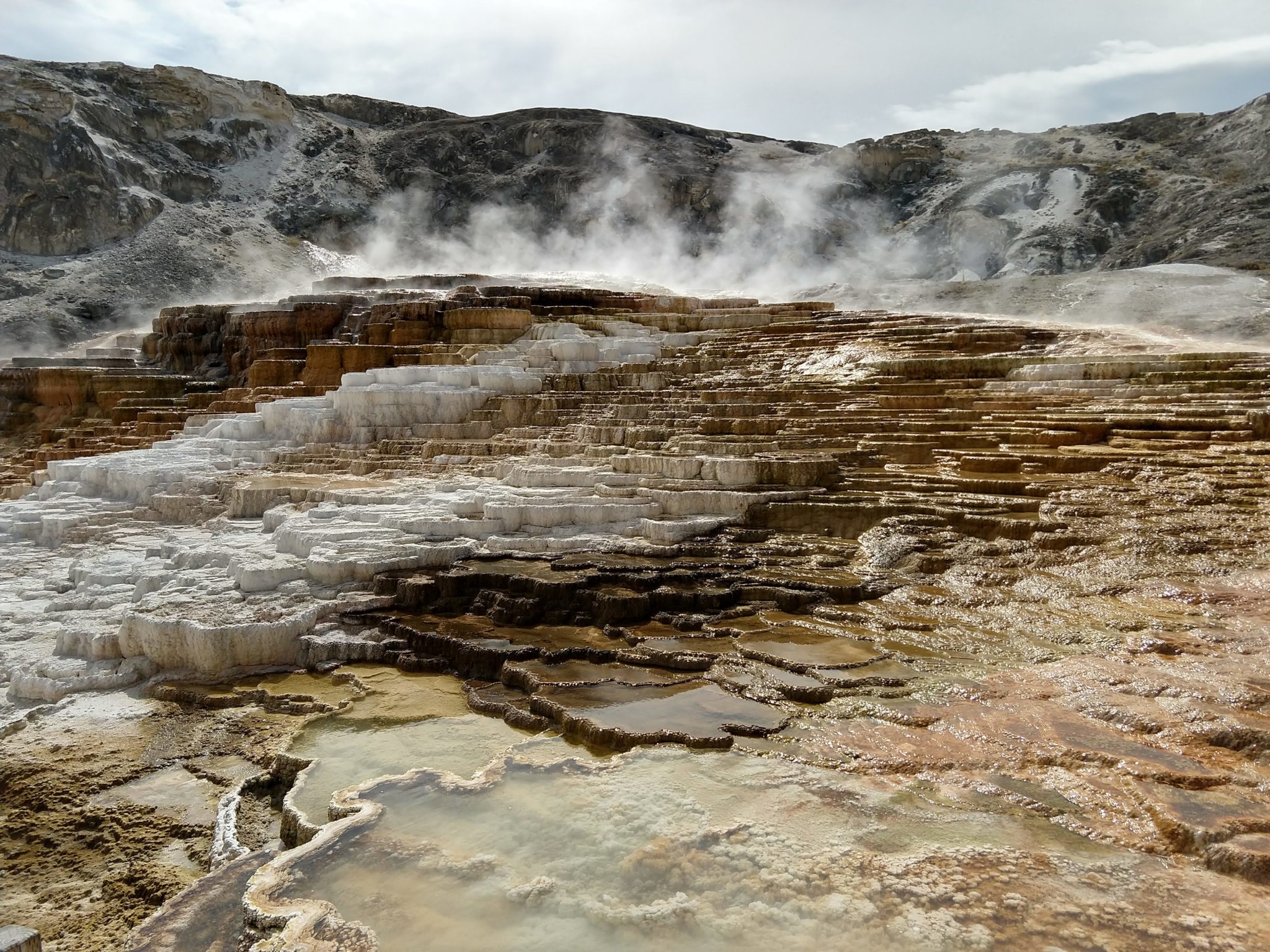 Hot Springs, Steam Vents, and Geysers Oh My!