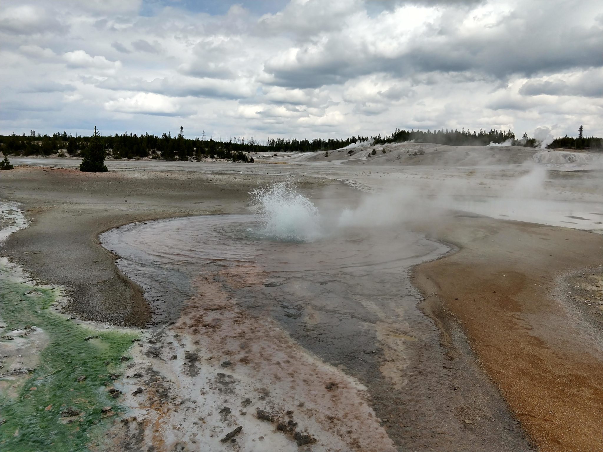 Hot Springs, Steam Vents, and Geysers Oh My!