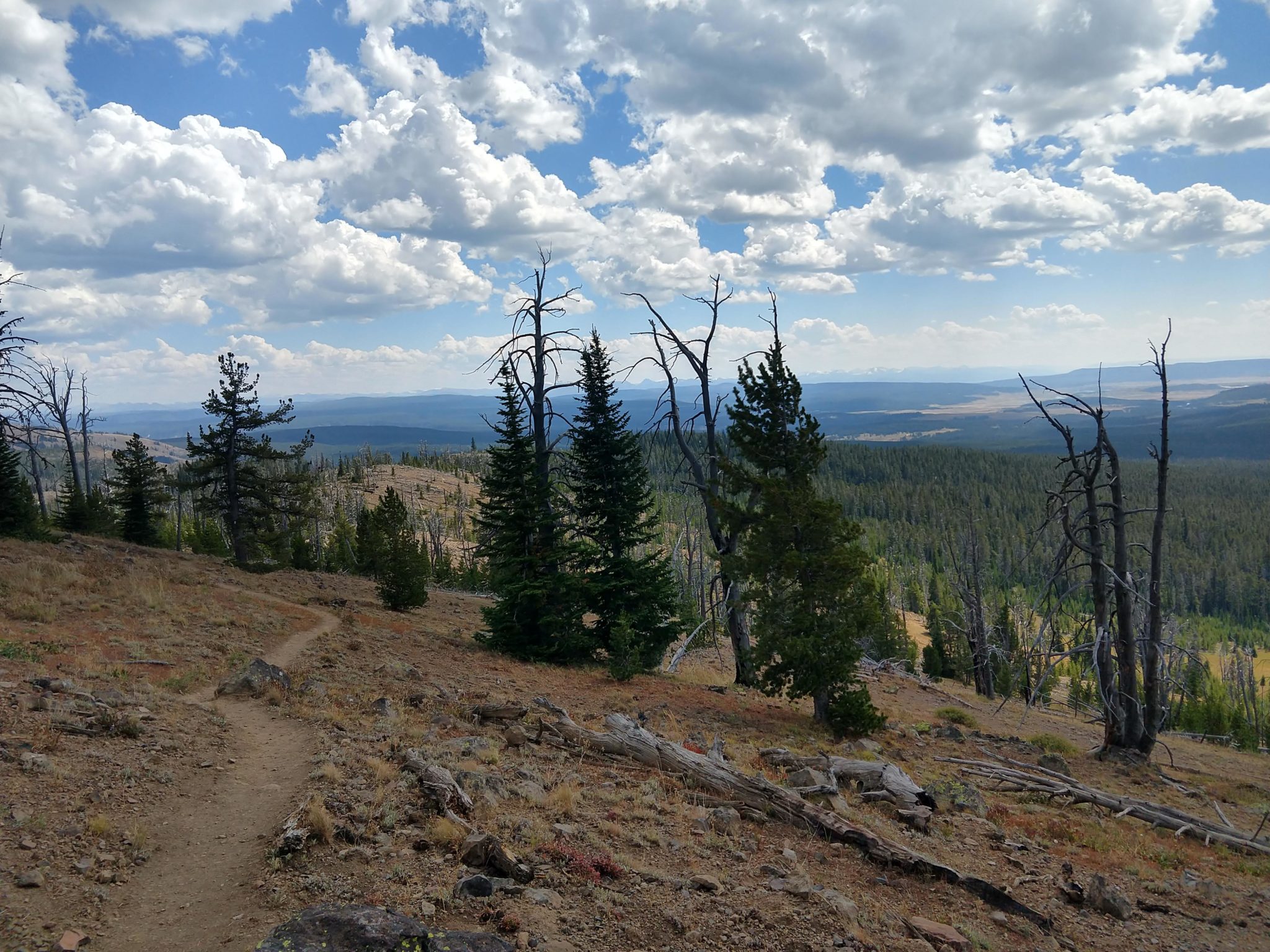 Yellowstone Hikes