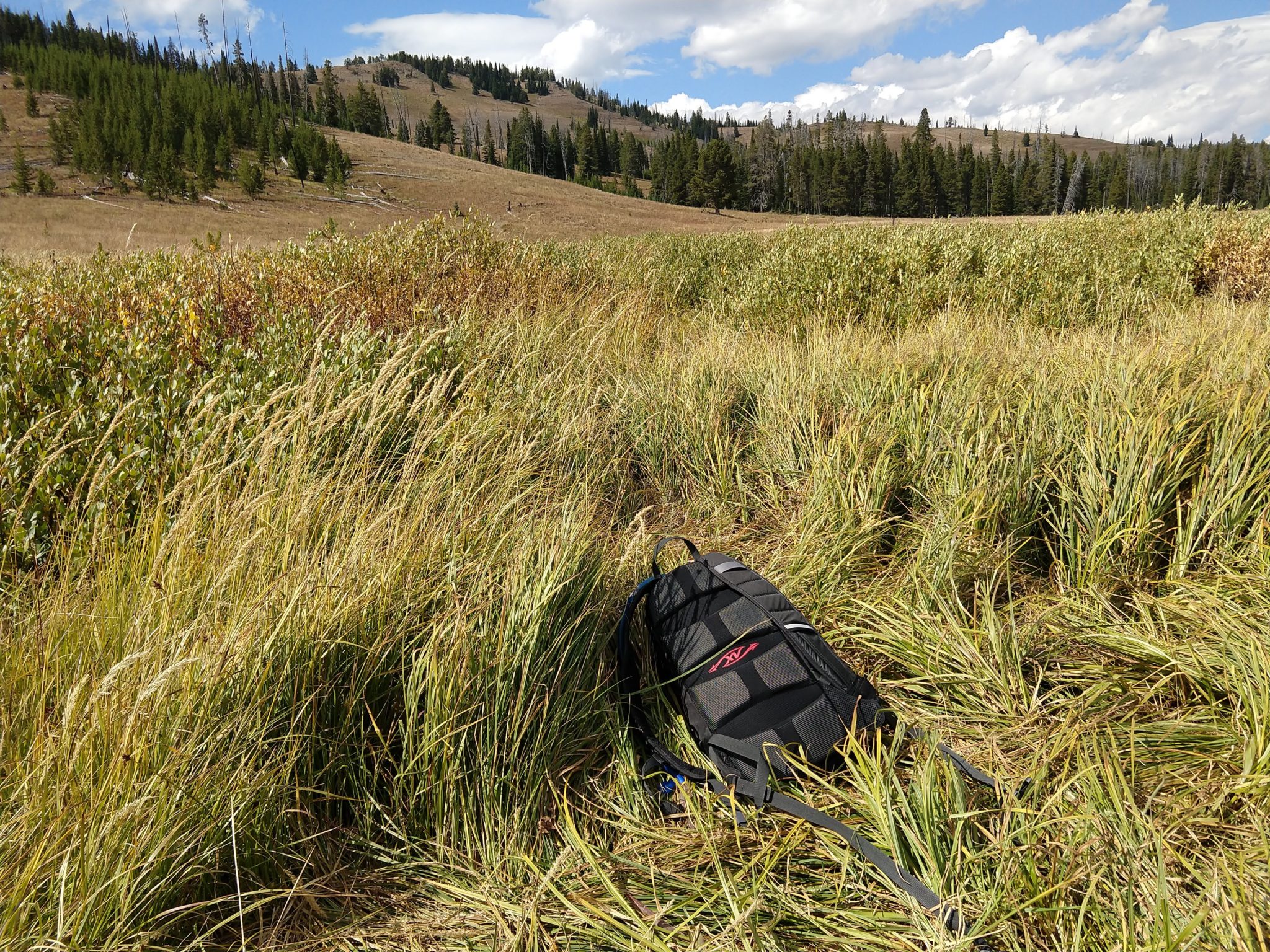 Yellowstone Hikes