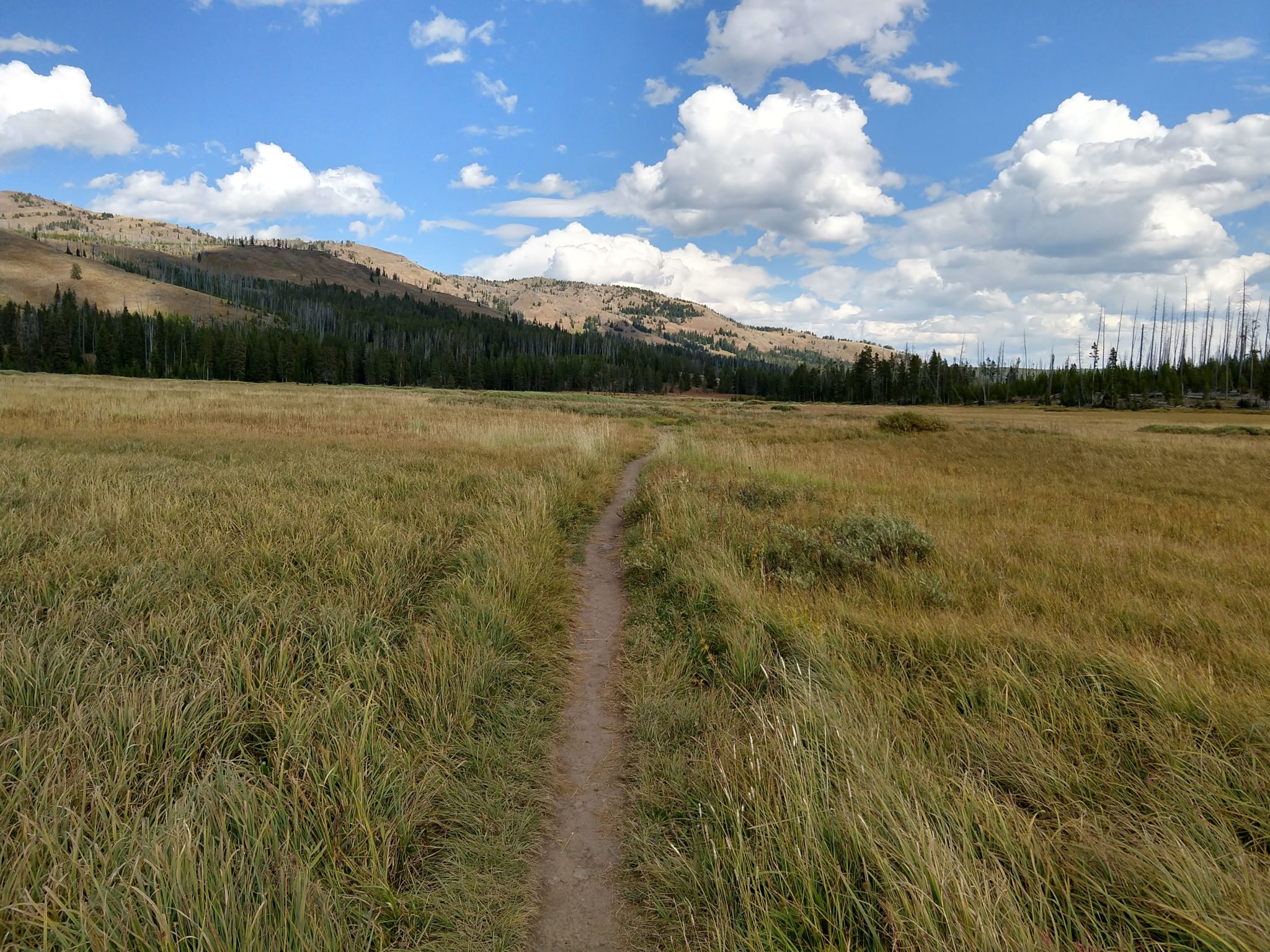 Yellowstone Hikes