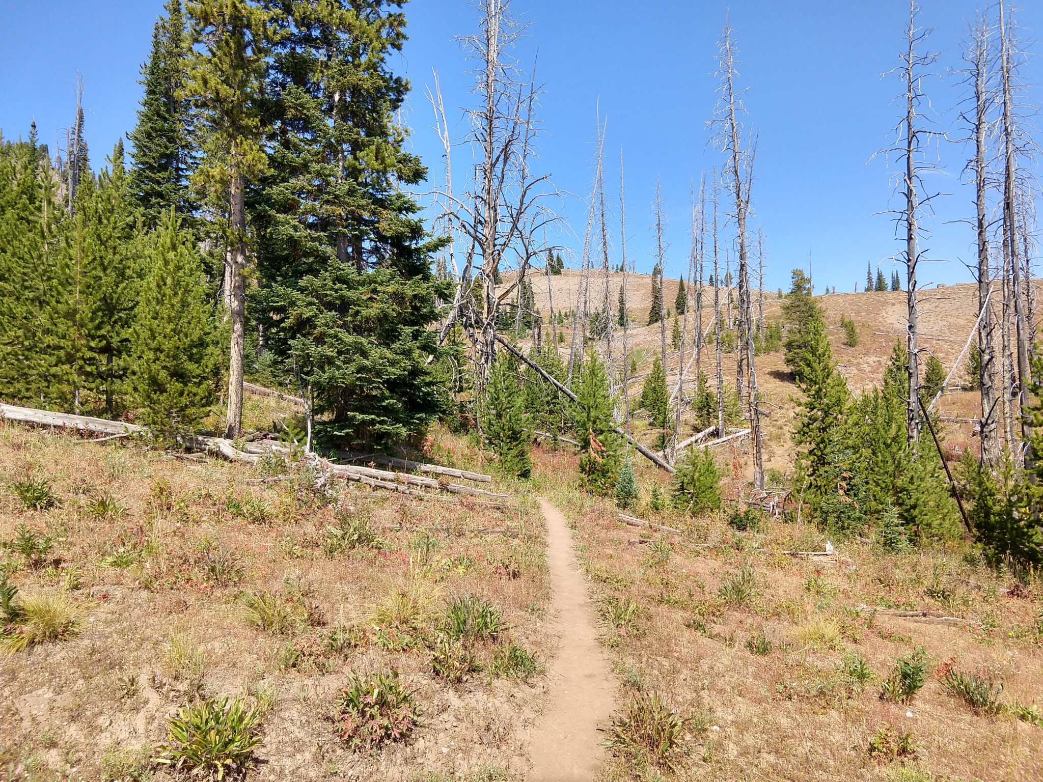 Yellowstone Hikes