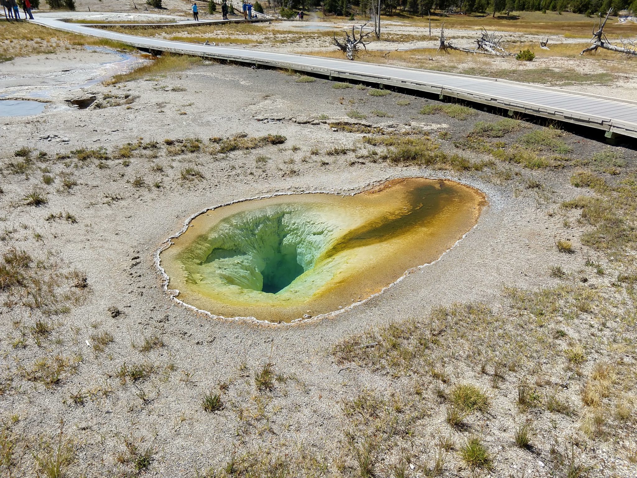 Hot Springs, Steam Vents, and Geysers Oh My!