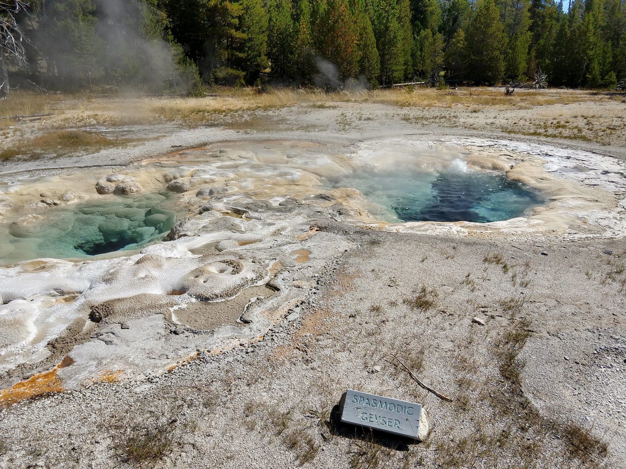 Hot Springs, Steam Vents, and Geysers Oh My!