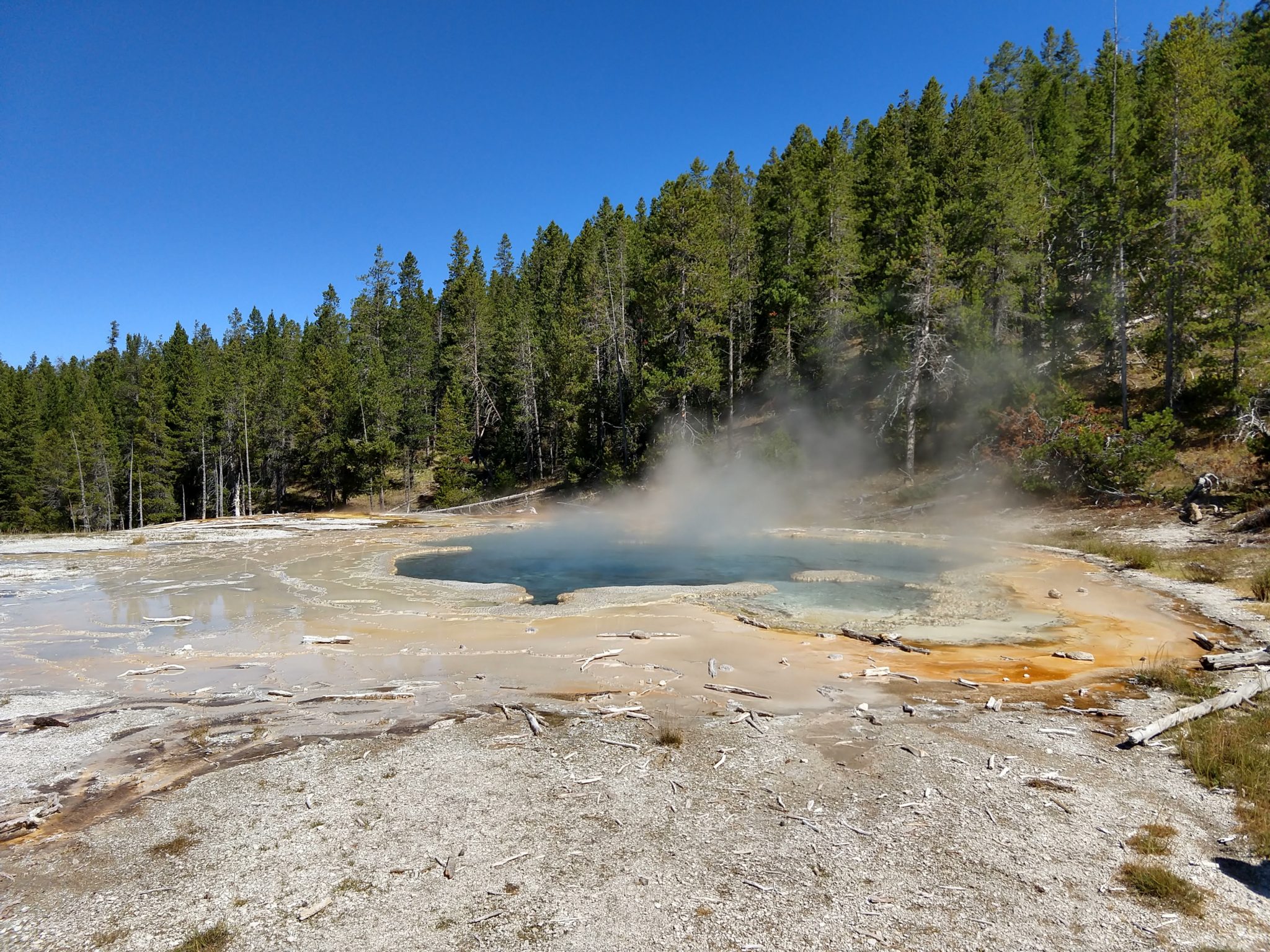 Hot Springs, Steam Vents, and Geysers Oh My!